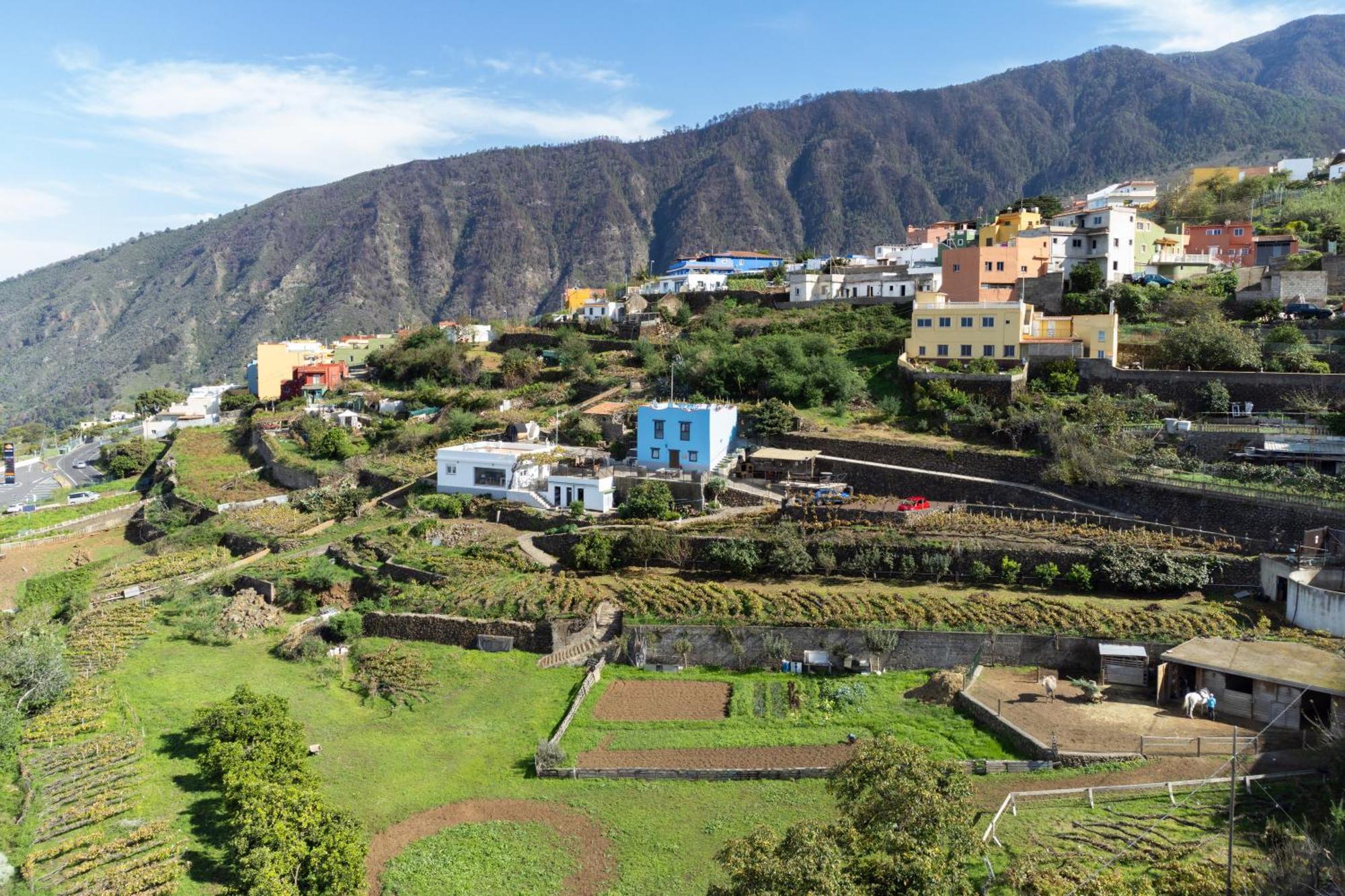 Ek Vistas El Milagro * La Orotava